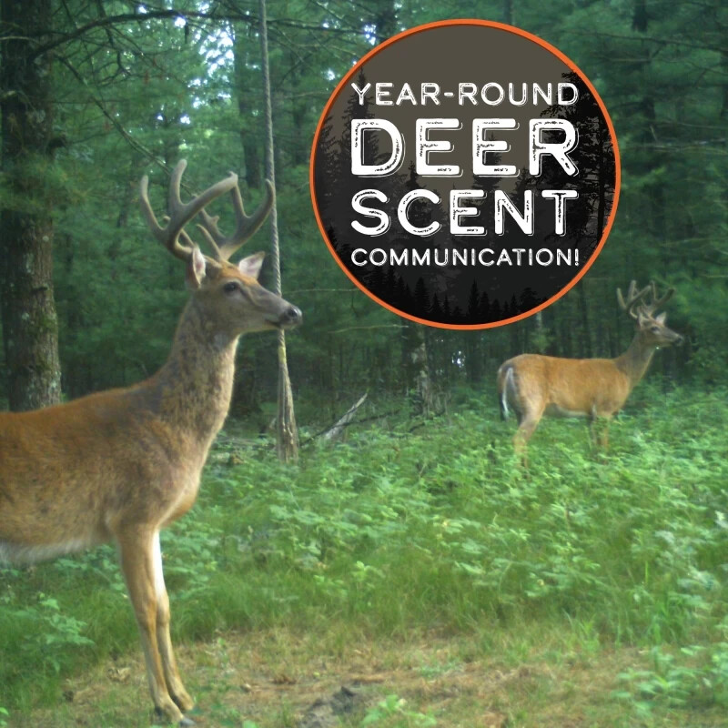 HODAG HEMPSCENT ROPE SYSTEM MULTIPLE SETUPS DEER LURE SETUP