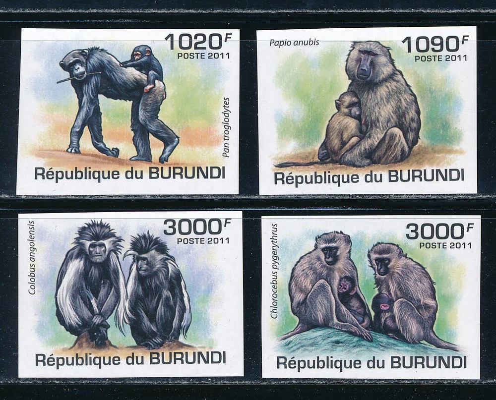 Burundi - MNH Animals Monkeys Imperf Stamps Set (2011)