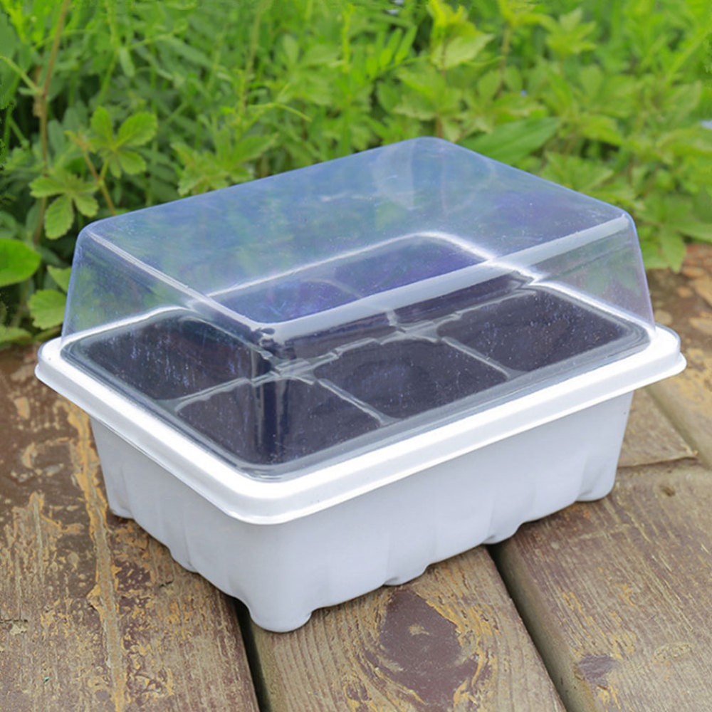 6 Pcs Plastic Plant Starter Trays Boxes for Vegetable Germination Gardening