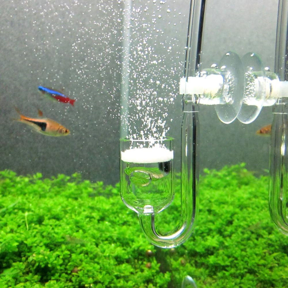 CO2 Diffuser Glass Reactor for Aquarium Planted Tank (CO2 Diffuser)