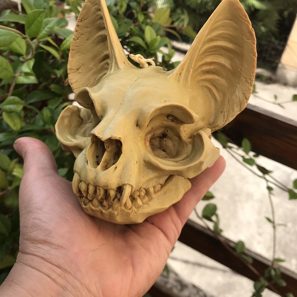 The Silicone Mold “The Cat Skull”