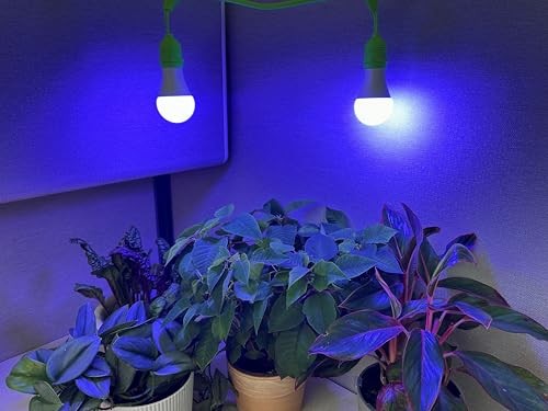 Grow with Elegance 4-Socket & White Shade (4KK Blue Spectrum Edition)