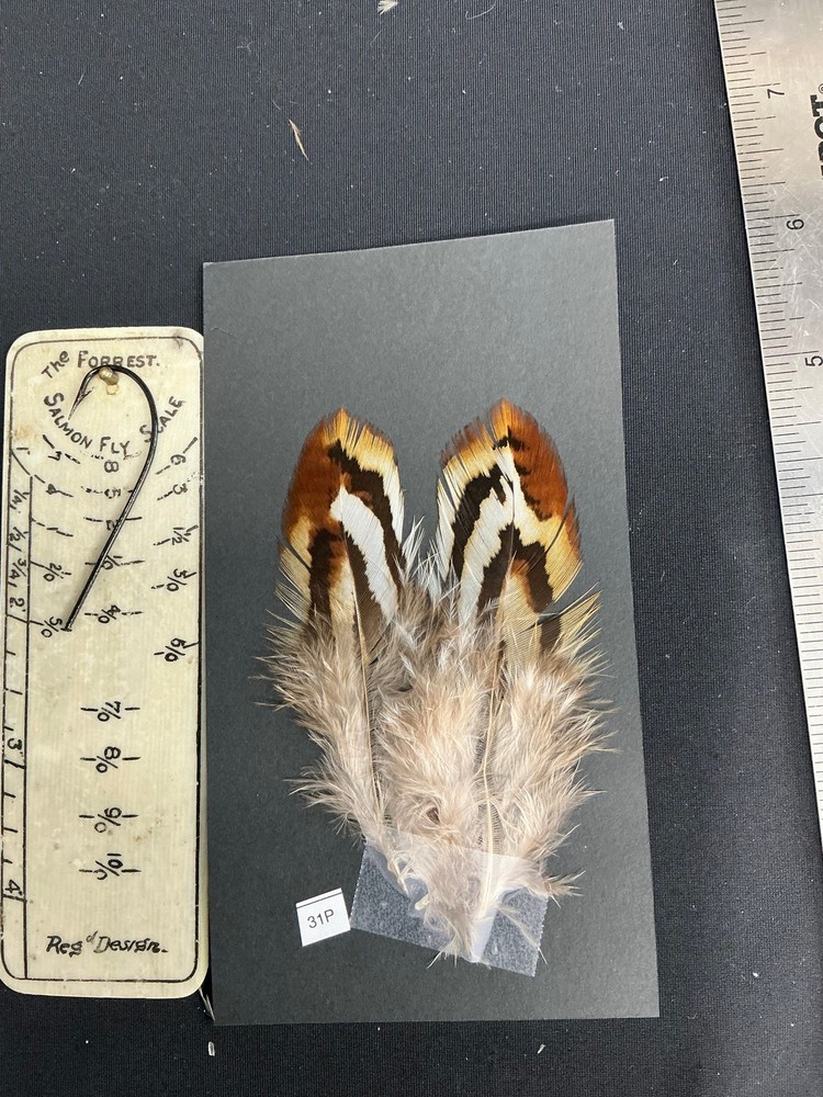 Hybrid Silver/Reeves Cross Pheasant feathers B