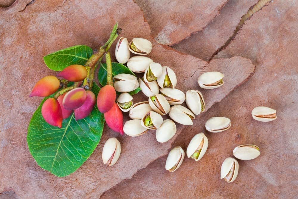Pistachios Nut Roasted Salted Kernels Unsalted Natural Shelled