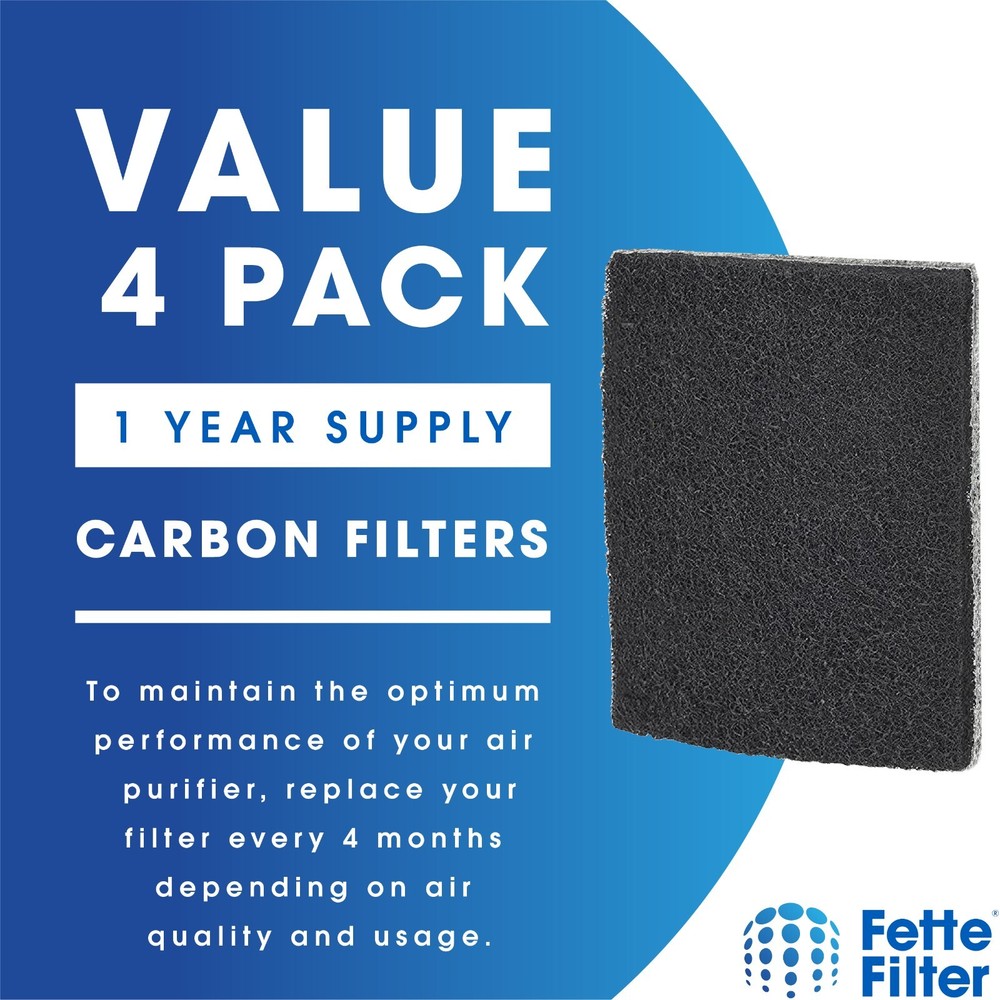 Filter Compatible with GermGuardian FLT200 (FILTERQ)