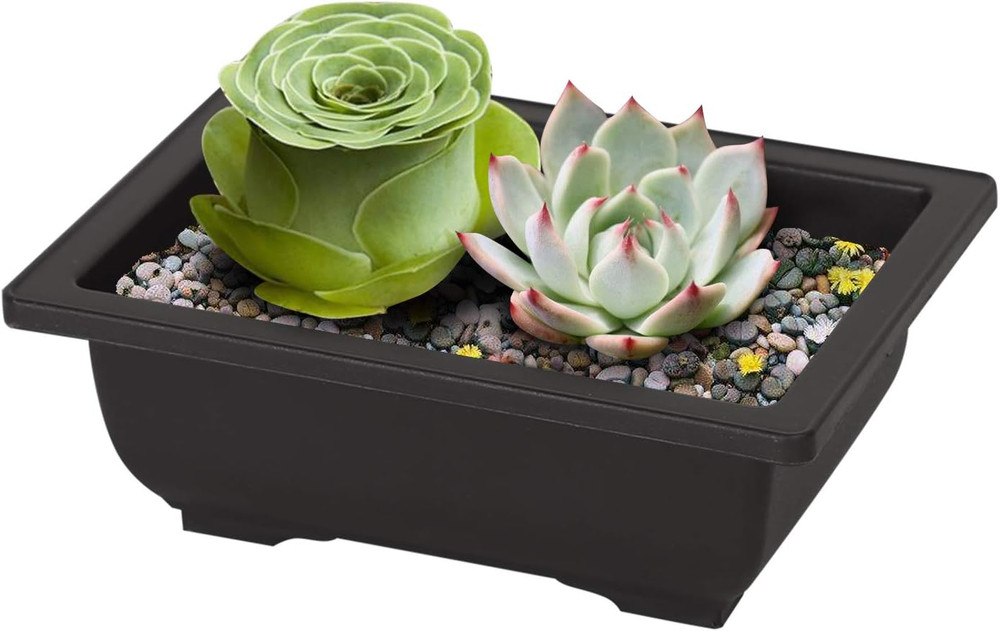 20 PCS 6.5 Inch Bonsai Training Pots, Rectangular Plastic Bonsai Pots, Flower Su