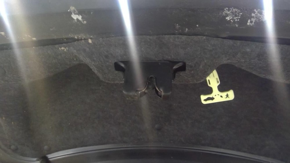 Trunk Latch Fits 14 Taurus 3822493