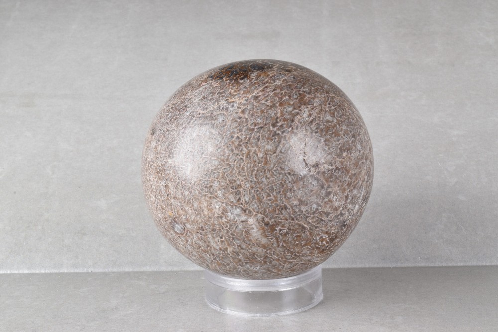 Large Dinosaur Bone Sphere from Morocco 7.7 cm # 21479