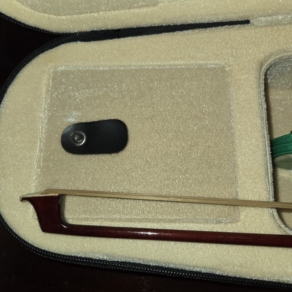 Tower Strings Electric Violinwith Case & Bow