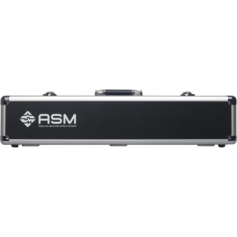 ASM Diosynth Wind Synthesizer with Hardcase and Stand