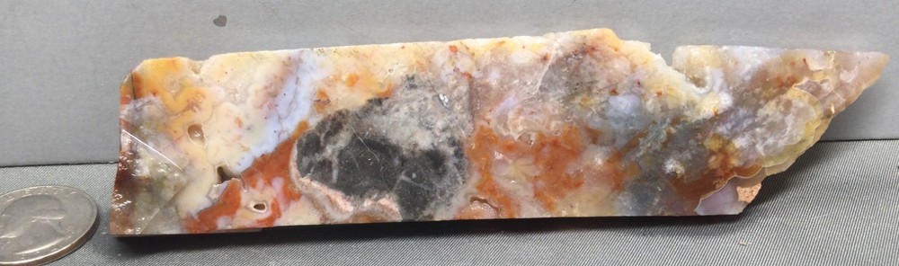 Opalized Agate rough slab for cabbing. Mesmerizing! #OA-004