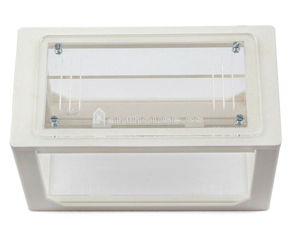 Sand Ant Farm 3D(Anthill, Formicarium, Educational, Ants)