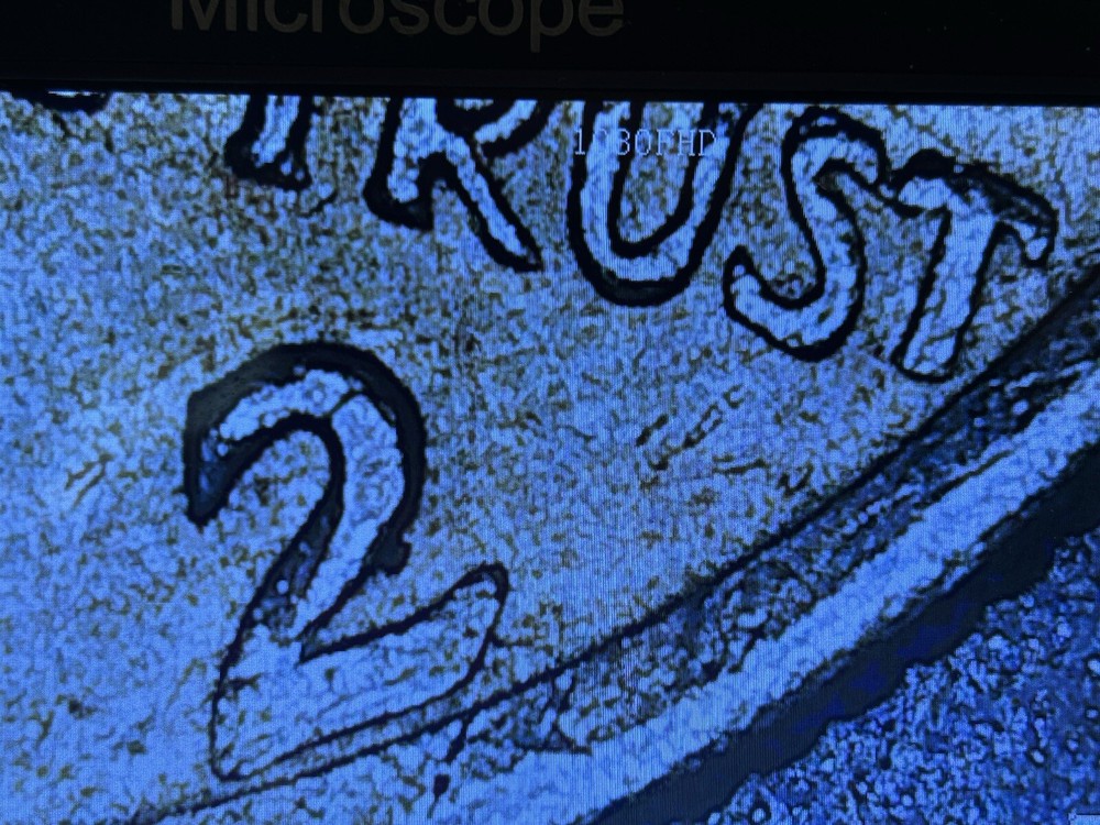 1972-D 50C Kennedy Half Dollar Multiple Errors View