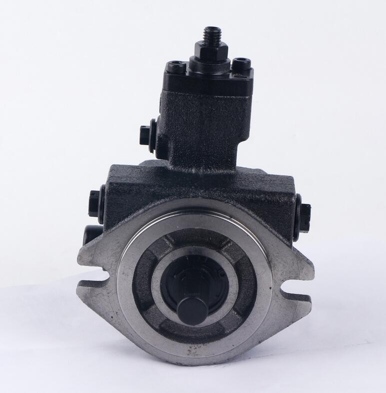 1PCS NEW CML hydraulic variable vane pump VCM-SF-12D-10