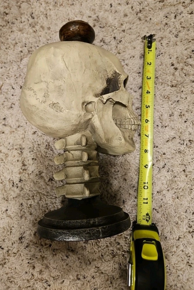 Skull Pedestal Decoration