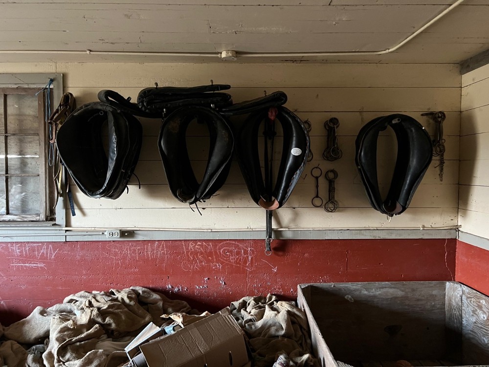 Draft Horse Collars (18"-26")