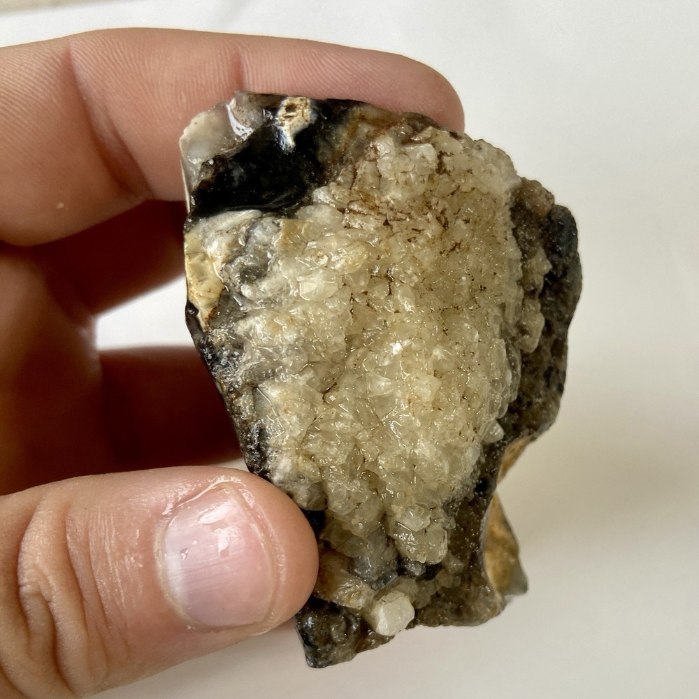 Natural Dendritic Opal Stunning Rough Stone 7.67 Oz!
