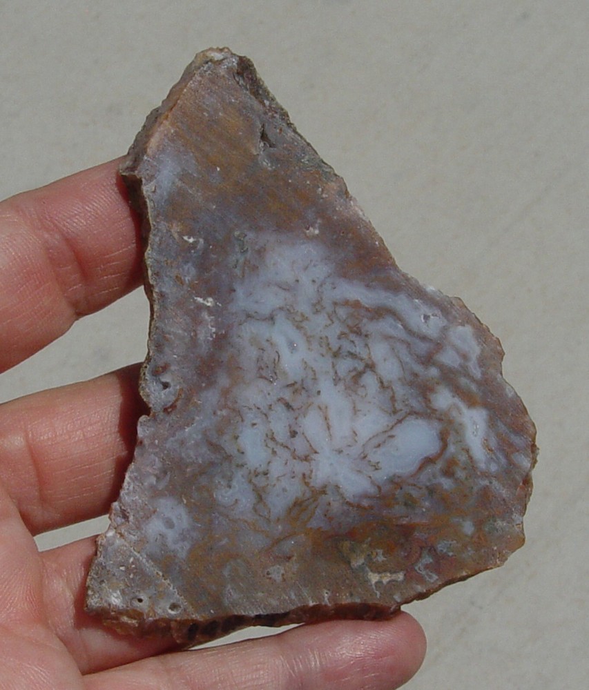 Gold Moss Agate Lapidary Slab 1487