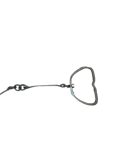 Survey Measuring Chain
