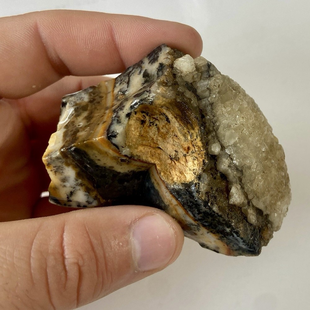Natural Dendritic Opal Stunning Rough Stone 7.67 Oz!