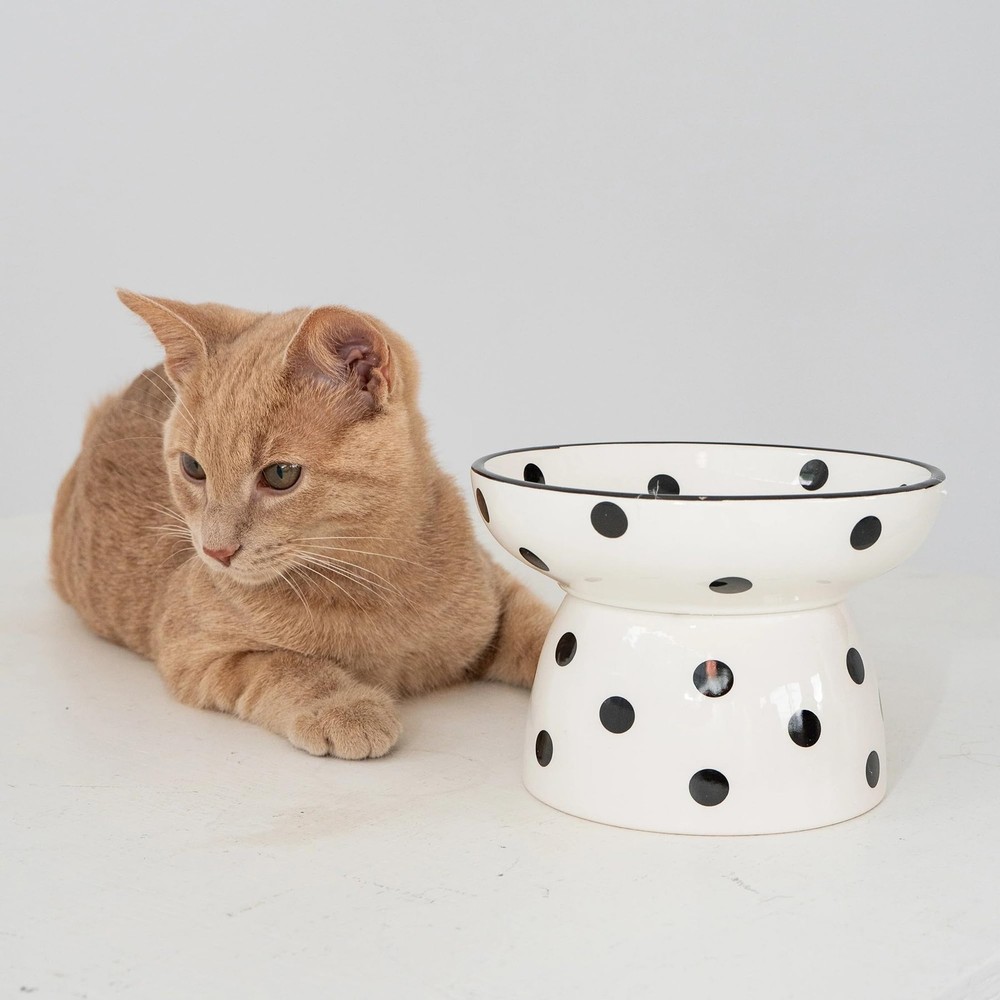 Dexypaws Elevated Ceramic Cat Bowl - White/Black Polka Dots - 8.7oz
