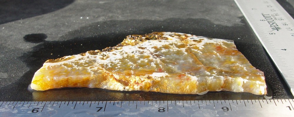 Graveyard Point Plume Agate Lapidary Slab T1026