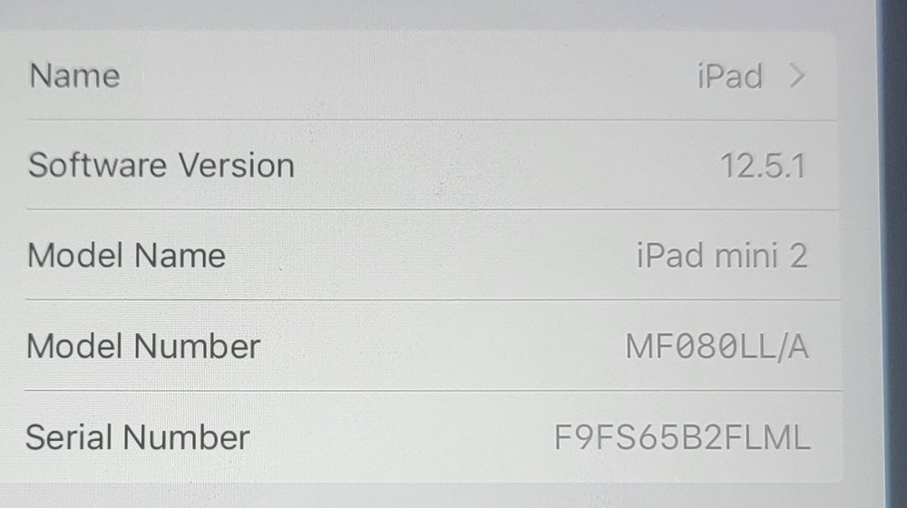 Ipad Mini 2