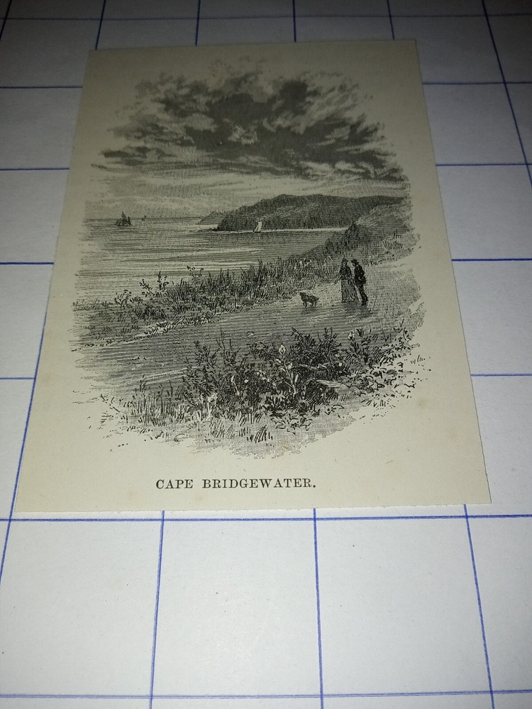 Cape Bridgewater 1890