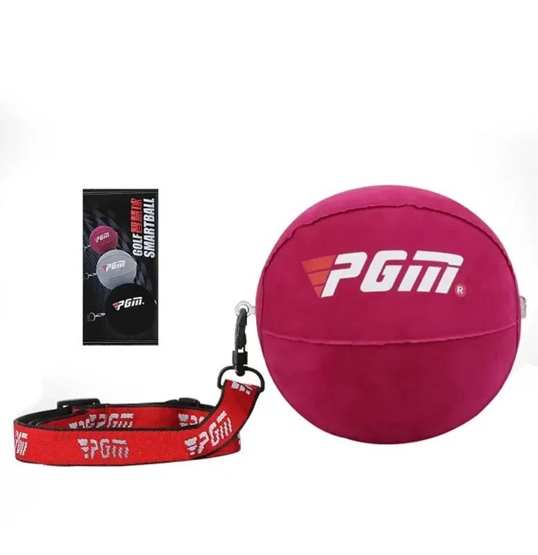 PGM Golf Smart Ball Swing Trainer Arm Corrector Posture Correction Putter...