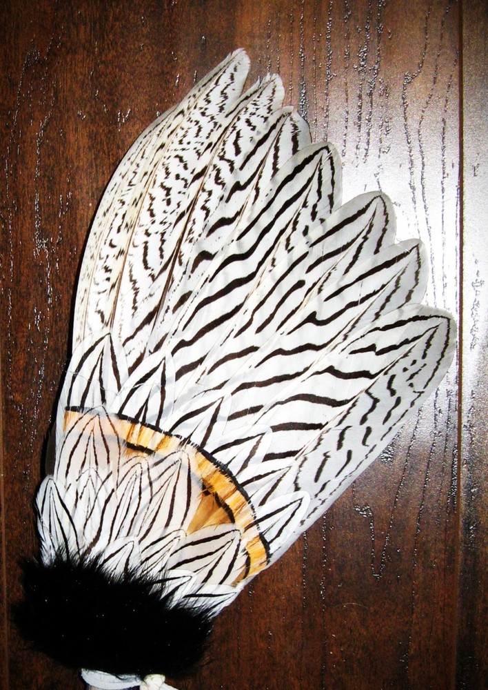 SILVER PHEASANT NATIVE AMERICAN SMUDGE FEATHER FAN ANTLER