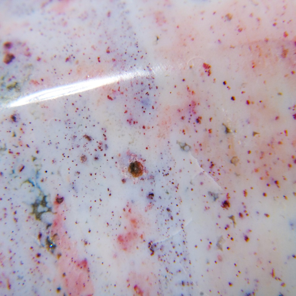 Genuine Polished Ocean Jasper Palm Stone