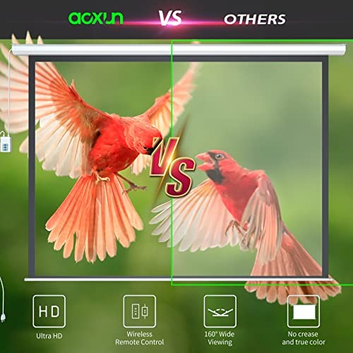 Motorized Projector Screen Pull Down with Remote Control 120 120-4:3-White