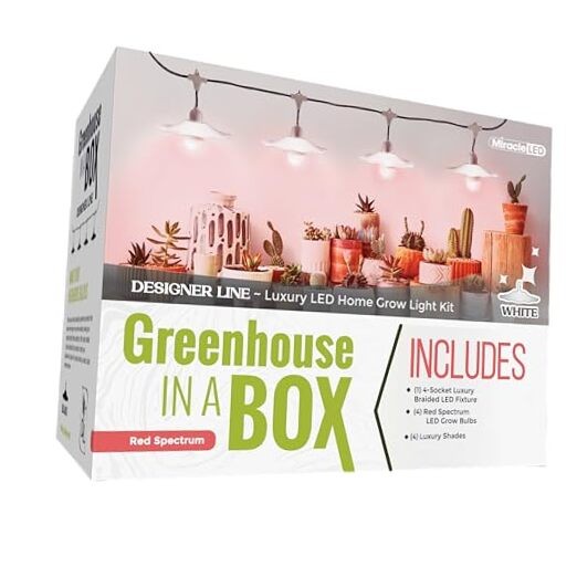 Grow with Elegance 4-Socket & White Shade (6.5KK Red Spectrum Edition)