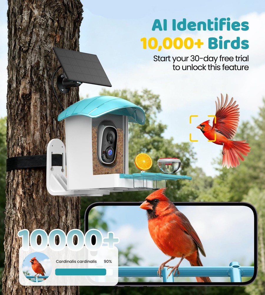 Bird Feeder with Camera Solar Powered: Smart Feeders for Medium, Blue