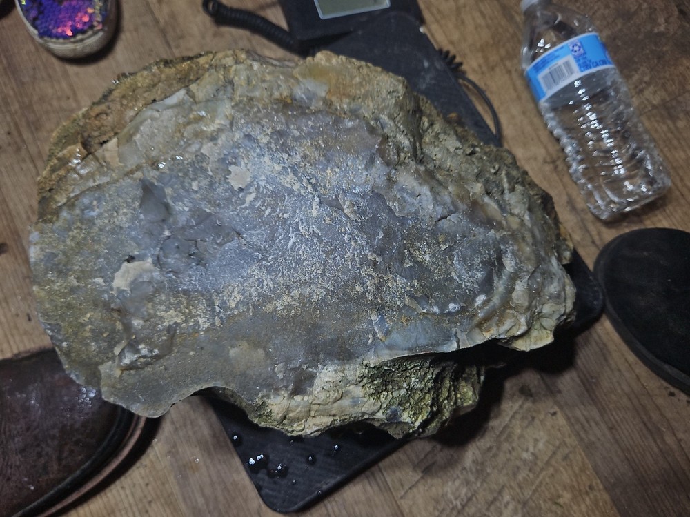 Petrified Palm Tree Root Specimen (36lbs 12oz)