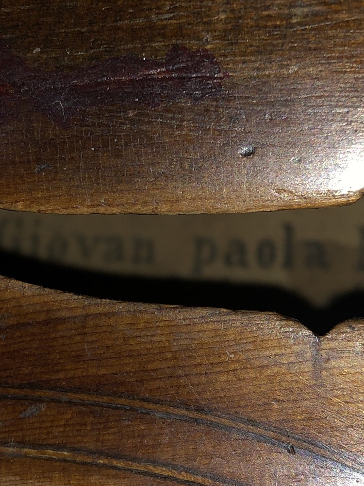 Violin Giovan Paola Maggini