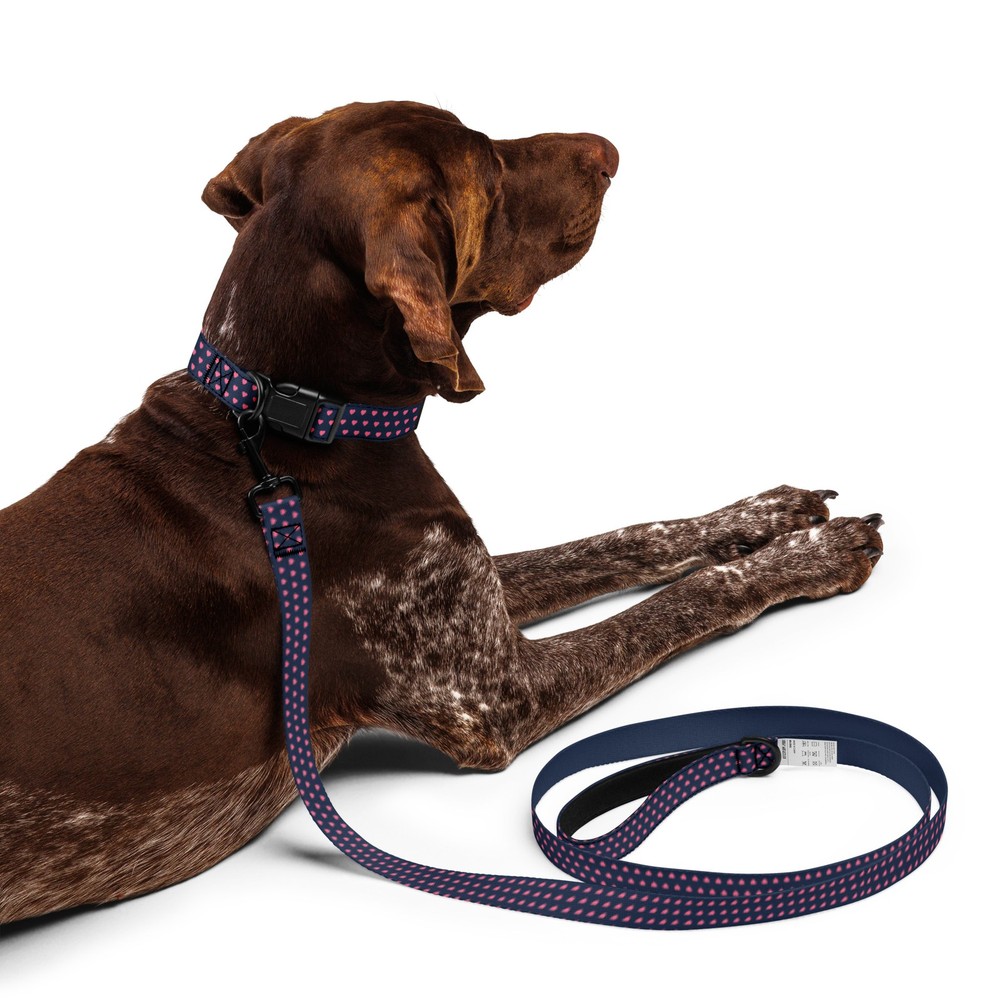 Pet collar & leash