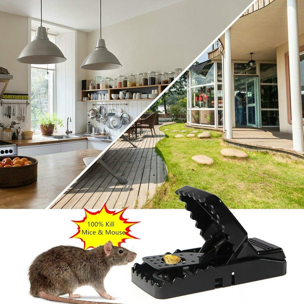 Mouse Trap Mice Traps That Work Best Snap Traps for Small Mice and Mouse Outd...