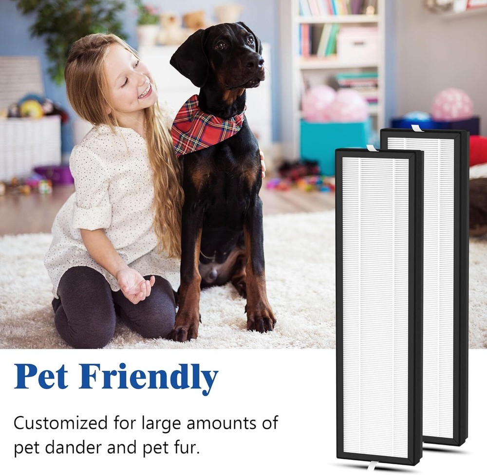 2 Packs H13 True HEPA Replacement Filter Compatible with As the description