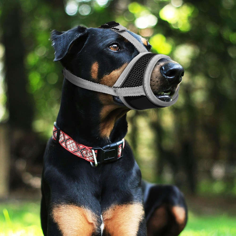 Muzzle for Medium Sized Dogs Small Barking Biting Prevention Breathable
