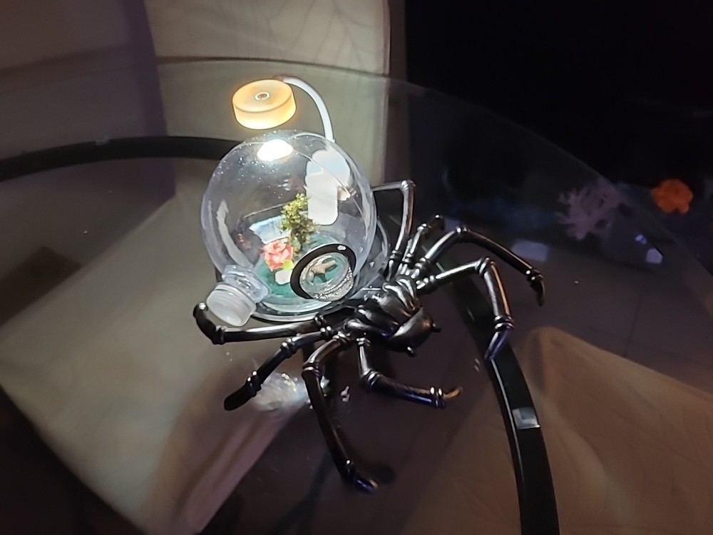 Jumping Spider, Insect Terrarium, Bug Enclosure Silver  With  Led New Version