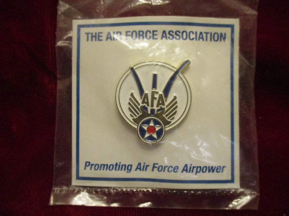 Air Force Association Pin