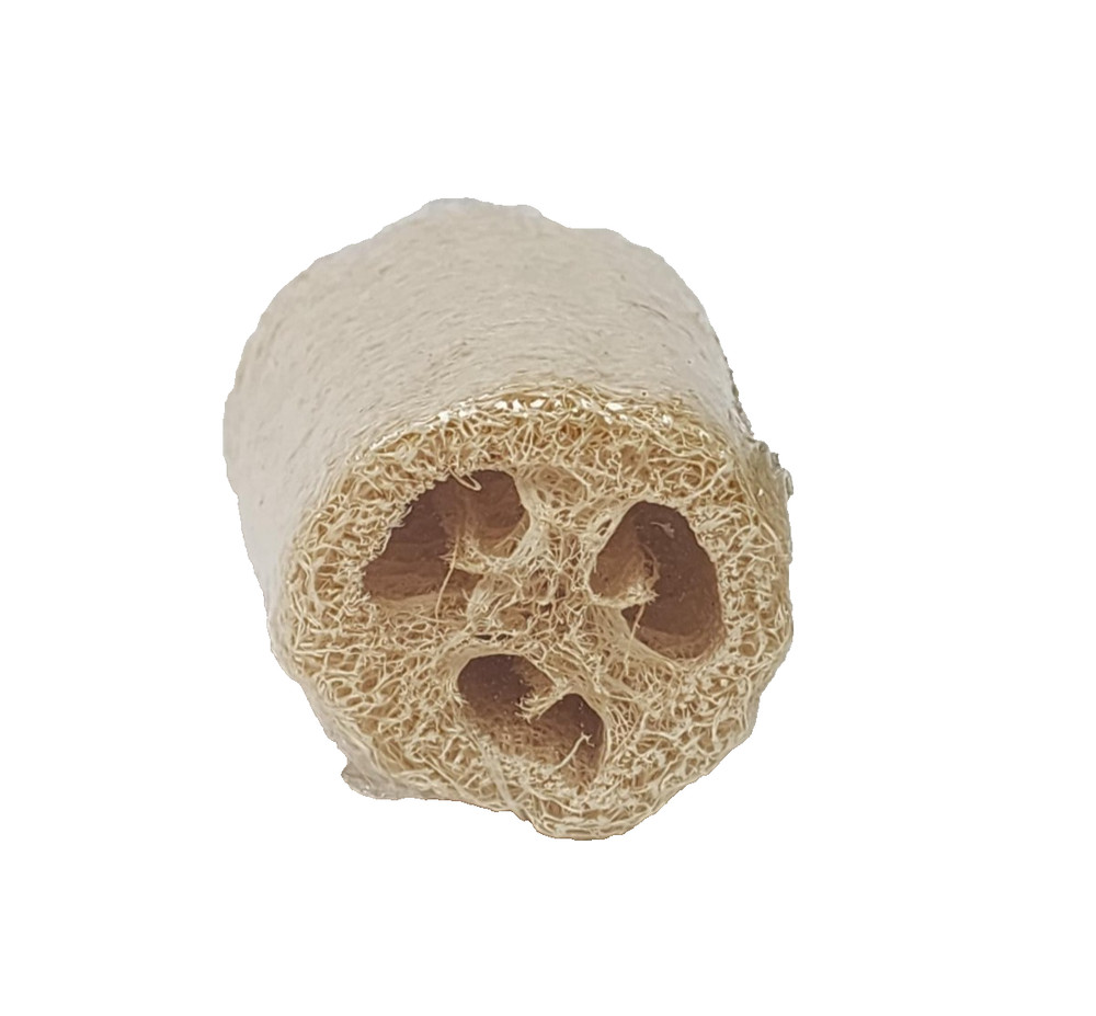 BORGHESE LOOFAH SPONGE