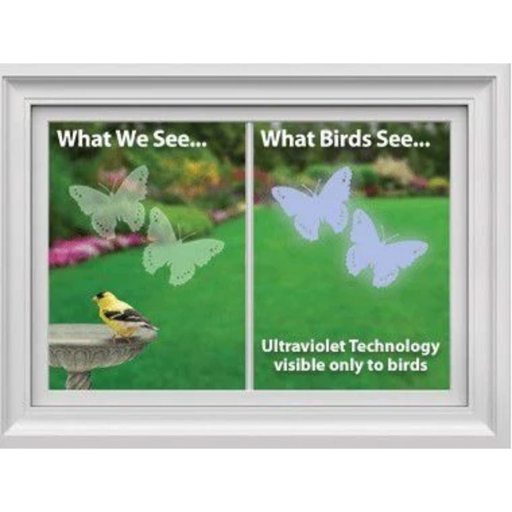 Windowalert Windowalert Butterfly Decals 4 / Envelope
