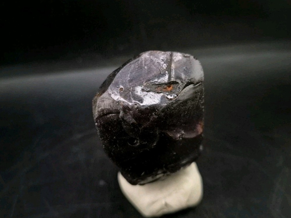 Real Fossil Dinosaur Egg Opalized