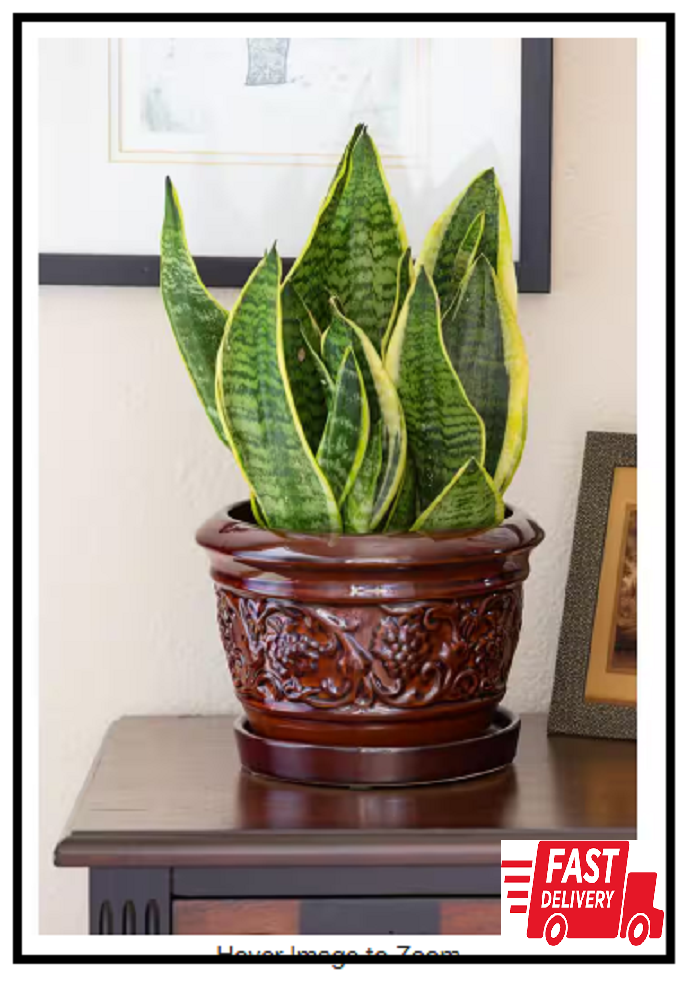 8 In. Dia Brown Rustic Damask Ceramic Planter
