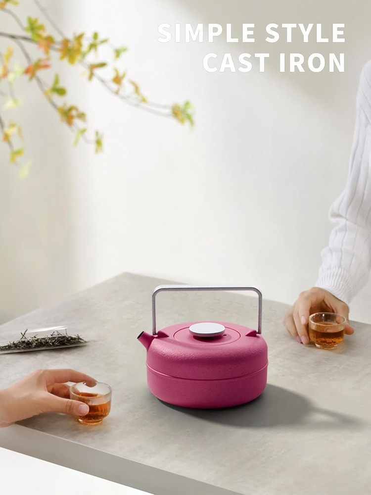 Teapot with Removable Infuser, Cast Iron Tea Kettle Stovetop Safe, Solid Geom...