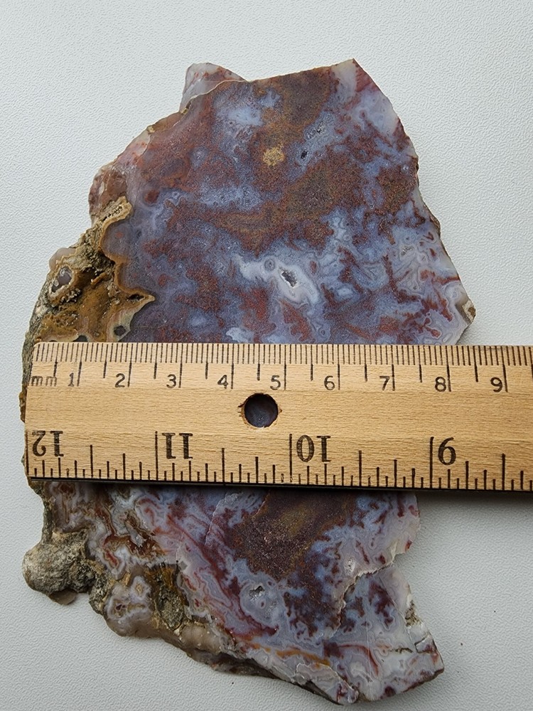 Moss agate Maury Mountain