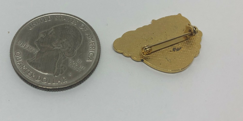 Hacienda Girls Ranch Pin