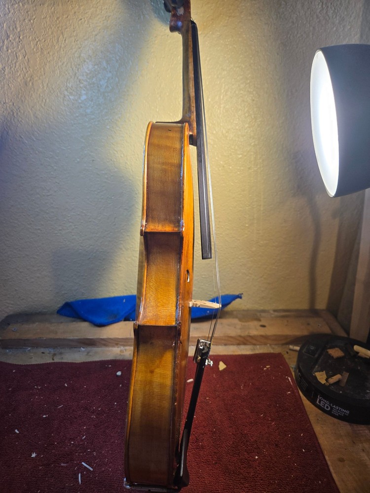 violin mathias ebier 1880